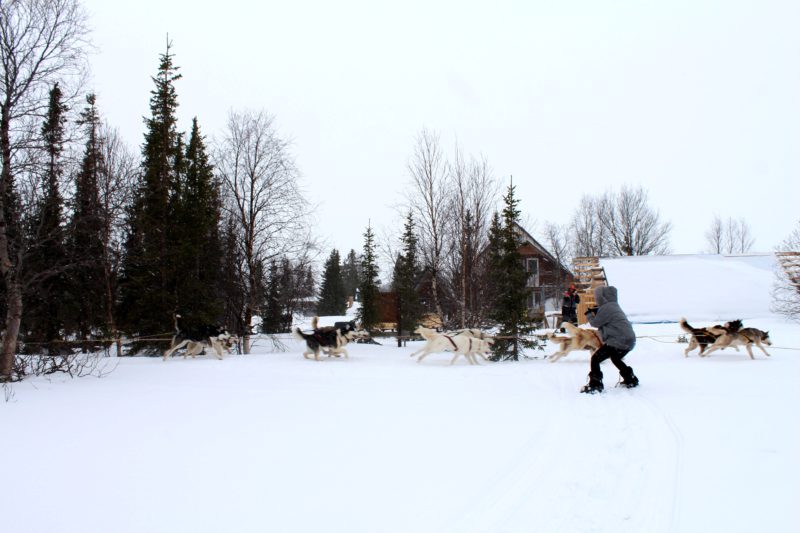 Winter 22