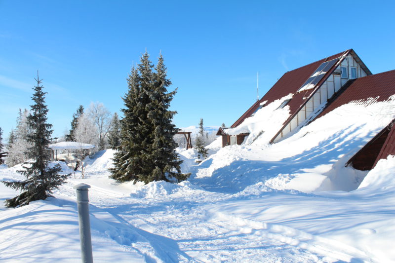 Winter 25