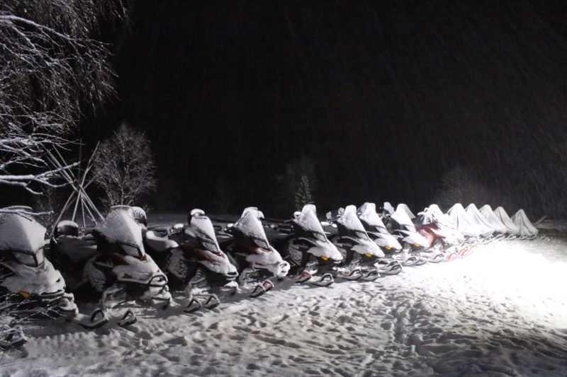 Winter 31